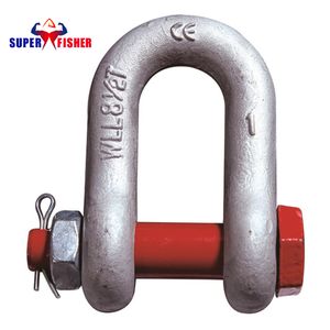 Factory Price G2150 High Quality Bolt Type Forged Steel D Shackle for Lifting Equipment