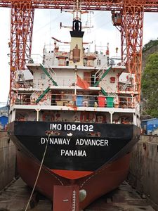 Cheap Bulk Cargo Multi-Purpose Container Ship with High Quality for Sale
