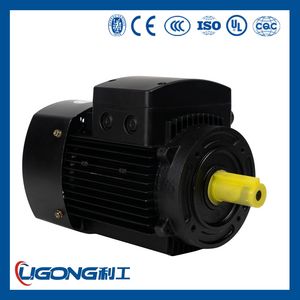 Ye3-63m2-2 0.25kw 2720rpm Ie3 High Efficiency Three-Phase Asynchronous AC Electric Motor 380V