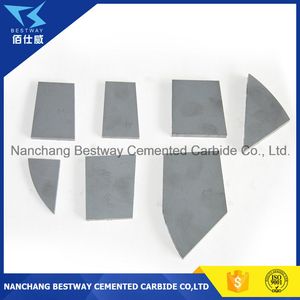 Tungsten Carbide Bits for Agricultural Application