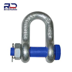 Hot Sale Us Type G210 Electric Galvanized D-Shackle Lifting Hardware China Supply