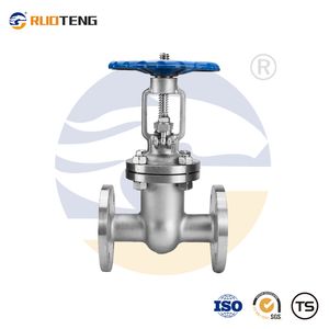 [Ruoteng] Pn16 Stainless Steel Flange Full Bore Gate Valve From Chinese Manufacturer