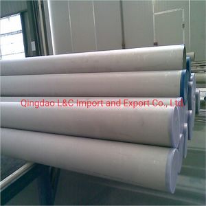 Premium 304 316 Stainless Steel Seamless Pipe for Boilers