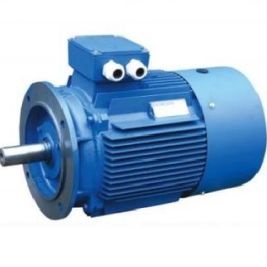 Ye4 Series Ultra-High Efficiency Three-Phase Asynchronous Motor