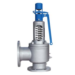 Premium Industrial Safety Valve for Boilers - 2025 Model