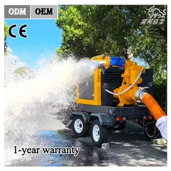 China Factory Direct Sales Large Flow Custom High Pressure Water Pump Agricultural Irrigation Pump