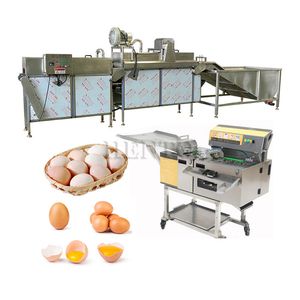 High Efficiency Egg Washer / Egg Breaking Separator Machine