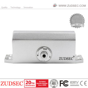 Aluminum 65~85kg Big Heavy Duty Door Closer with 500000 Mechanical Life