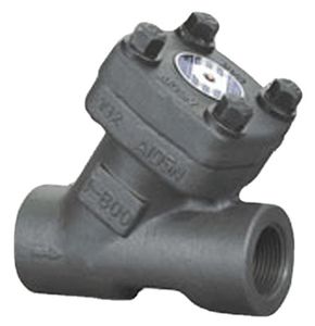 Forged Stainless/Carbon Steel Thread End/Sw/Bw Bolt Cap Class800/1500 Y-Strainer