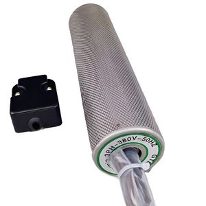 Built-in Motor DC Galvanized Coated Stainless Steel Main Power Electric Drum Roller