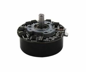 48mm Electric BLDC Motor with Speed Controller for Fascia Massage Gun