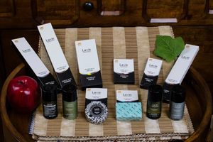 Factry Price Wholesale Disposable Hotel Amenities with Shampoo and Conditioner