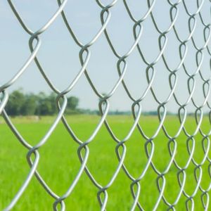 50X50mm Black Coated Chain Link Fence for Wholesale