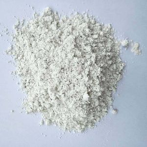 Premium Diatomaceous Earth for Painting and Coating Applications