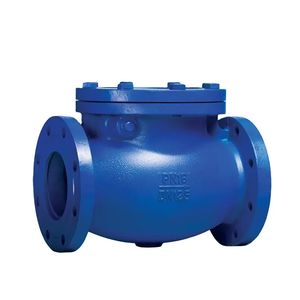 Reliable Ductile Iron Swing Check Valve for Flow Regulation