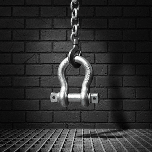 G209 Screw Pin Anchor Shackle / Us Type Drop Forged Bow Shackle