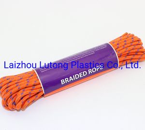 6mm High Tenacity Polyester Braid Rope Cord