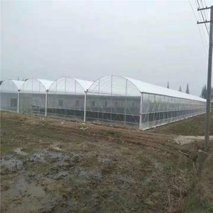 Multi Span Plastic Po Film Tunnel Greenhouse
