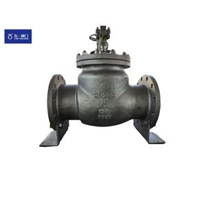 Stainless Steel Swing Type Non Return Valve Flange Connection for Water Oil Gas DN15-600 150-900lb -29\~425º C - Oil Valve