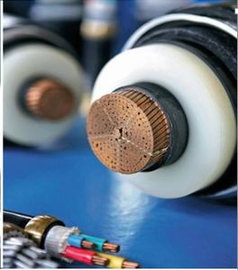 Yjv62-12/20 1 X 300 Cu Power Cable