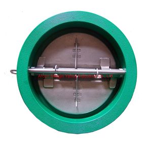 OEM Cast Iron /Steel Dual Plate Wafer Type Check Valve