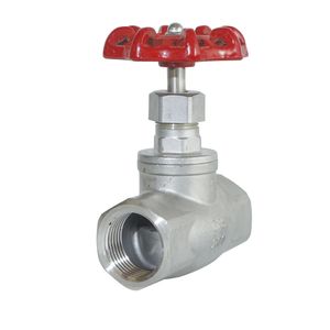 304/316 Stainless Steel Gate Valve with Bsp Thread