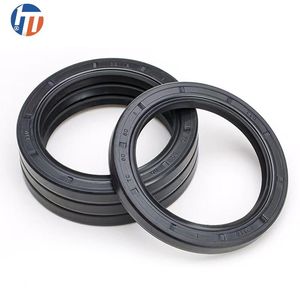 Customized Fluorine Rubber High Temperature Resistant Tc Tg Tg4 DC Rotary Shaft Oil Seal