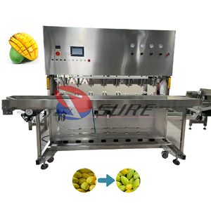 Automatic Mango Peeling Machine Taro Peeler Kiwi Processing Machine