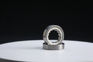 Zys Double Row Cylindrical Roller Bearing Nn Series Machine Tool Bearing Nn3005 25X47X16mm