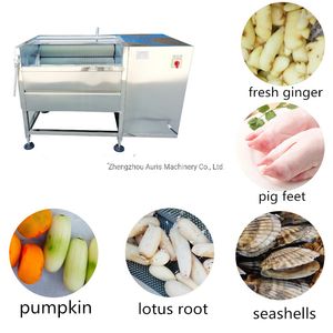 Rhizome Fruit and Vegetable Brush Roller Cleaning Machine Ginger Carrot Potato Washing and Peeling Machine