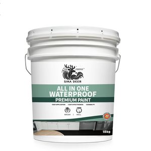 Versatile All in One Waterproof Coating for Durable Swimming Pool Surfaces