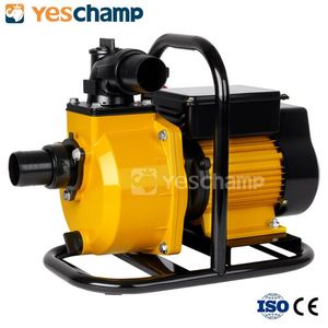 Low Pressure Domestic Solar Surface Water Pump for Agricultural Irrigation