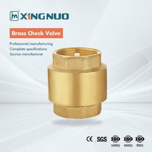 Durable Industrial Custom Brass Check Valve for Water Supply