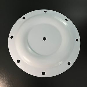 Skylink P/N0050.8654 Aodd Diaphragms Pumps Spare Parts Replacement Seals Kit PTFE Diaphragm
