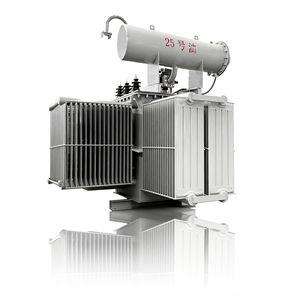 Three Phase Oil-Immersed Power Transformer with No. 25 Transformer Oil, Low Temperature Resistant, 10kv/35kv, S11/S13 Series, Outdoor Use for Cold Climate