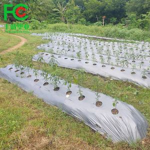 High Quality Biodegradable Agricultural Black Plastic Mulch Film