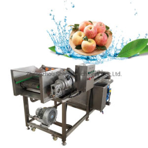 Multifunctional Industrial Ozone Vegetable Washer Air Bubble Continuous Water Spray Fruit Spinach Vegetable Washing Machine