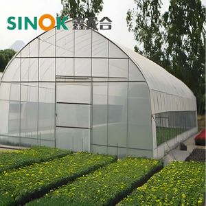 Agricultural Single Span Poly Tunnel Plastic Film Greenhouse for Vegetable