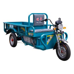 Noise Reduction Eco Friendly Household Use Electric Bicycle Tricycle for Daily Commuting