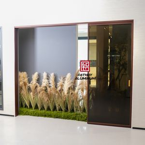 Double Glazed Slim Indoor Glass Sliding Door Window External Patio
