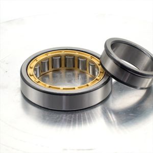 Cylindrical Roller Bearing for High Speed Machine/Cxecn/Mviif