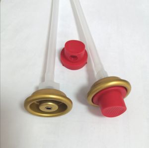 1 Inch Female Valve and Red Cap for Fire Extinguisher
