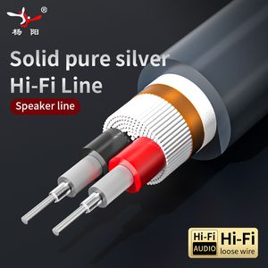 High-Quality Pure Silver Speaker Wire for Audiophile Systems