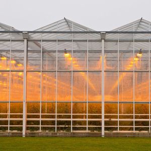 Glass Green House for Agriculture