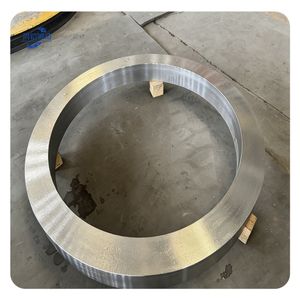 Custom Services Stainless Steel Flange Forging Parts