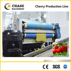 Apple/Cashew Apple/Watermelon Juice Processing Line From Shanghai Chase