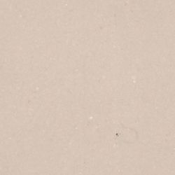 Commercial Hospital Office PVC Flooring Tile Homogeneous PVC Vinyl Flooring