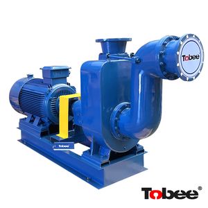 Tobee® 250tx600-50 Self-Priming Pump with Variable Frequency Motor