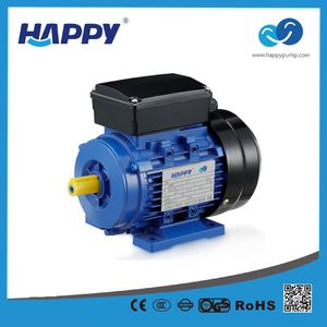 Factory Reliable Quality Single Phase 220V Electric Motor (MY)