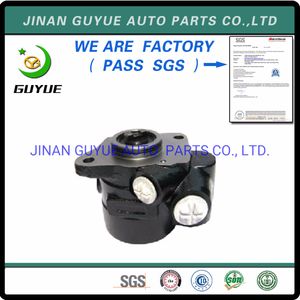 Power Steering Pump for European Volvo Daf Man
